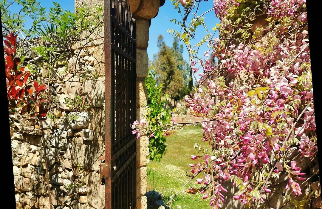 B&B Borgo del Gallo-1