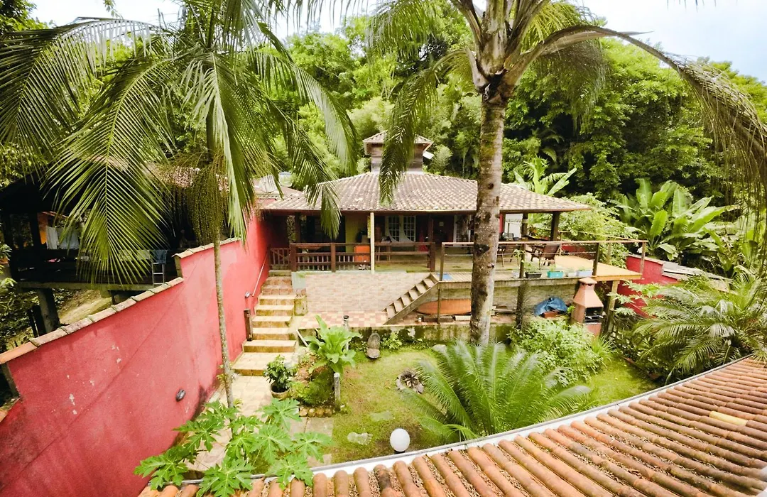 Pé de Café Itamambuca-1