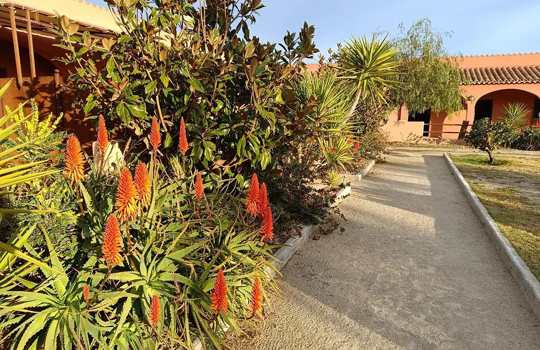 Domaine la Colomine-1
