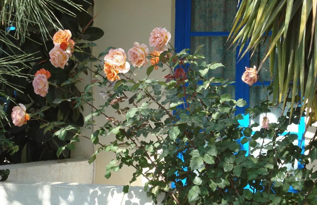 Creta Sun Hotel Studios-1