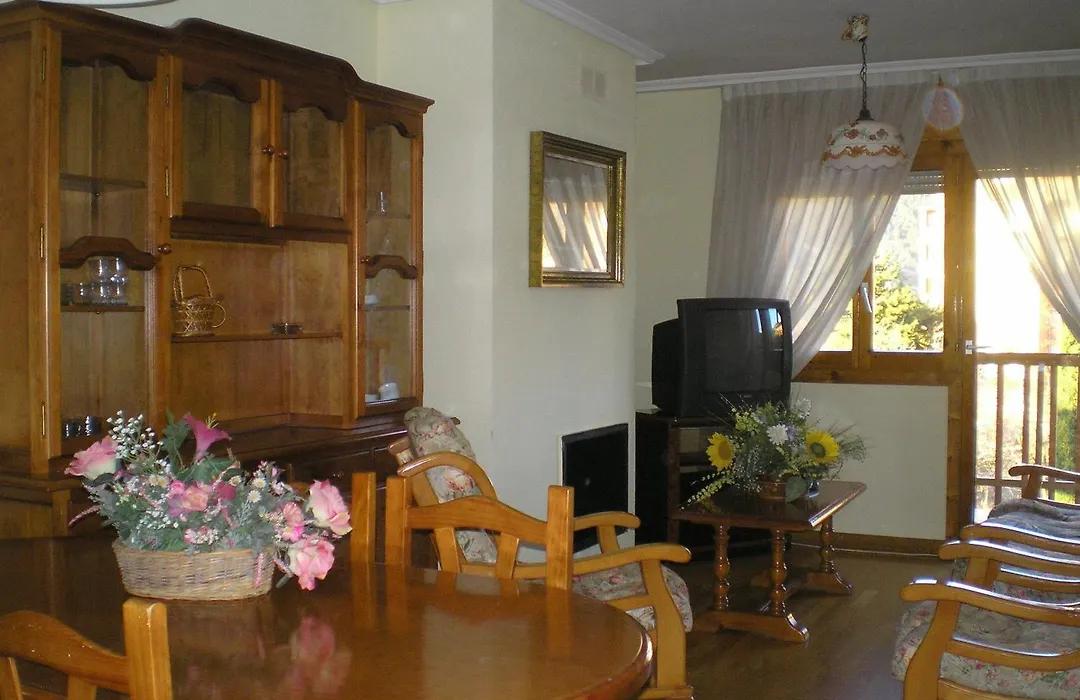 Apartamentos Turisticos Sol y Nieve-1