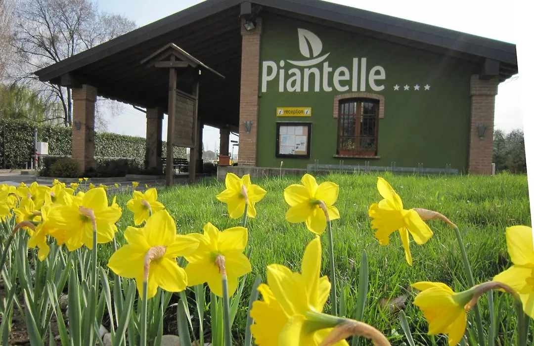 Camping Piantelle-1
