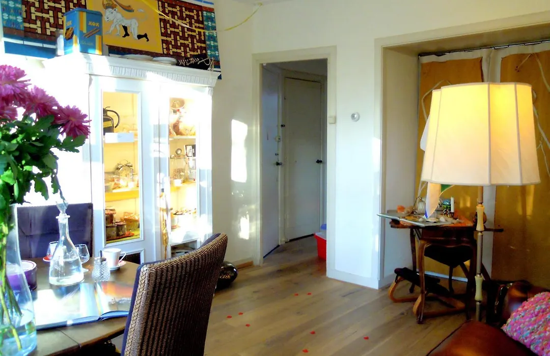 Missortelia B&B-1