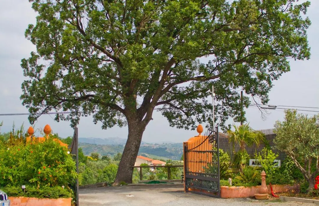 Albergo Arinde-1