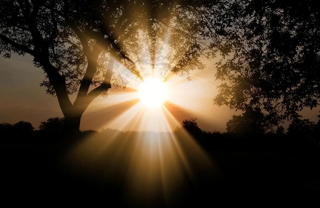 Le Mas du Soleil-1