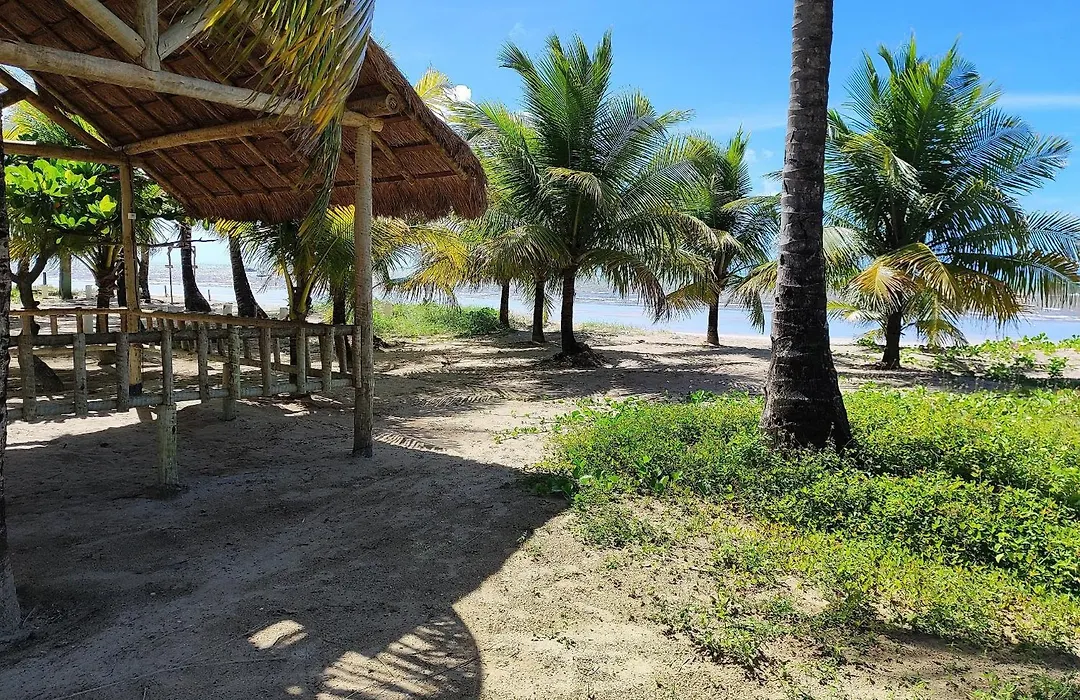 Flat Beira-Mar Maragogi-1