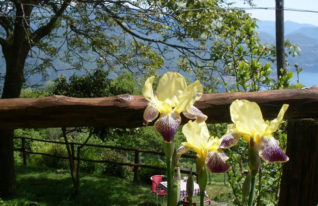 Agriturismo Da Attilio-1
