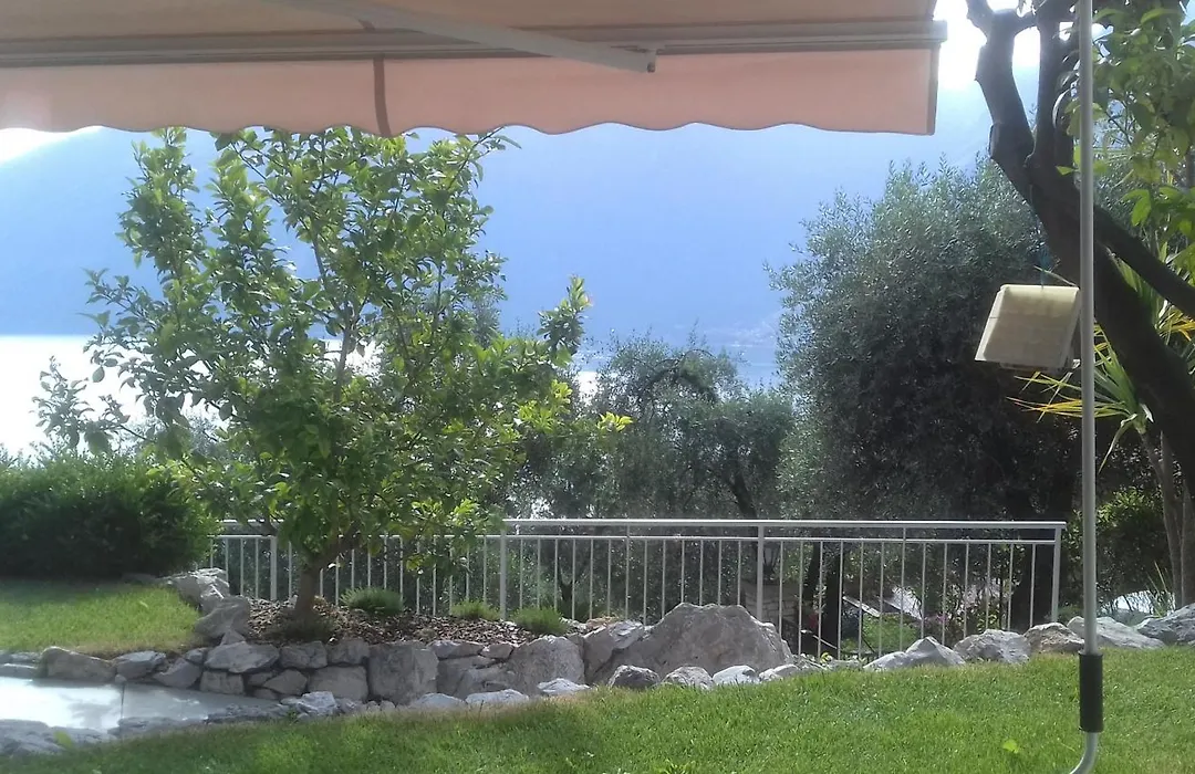 Oliveto-1