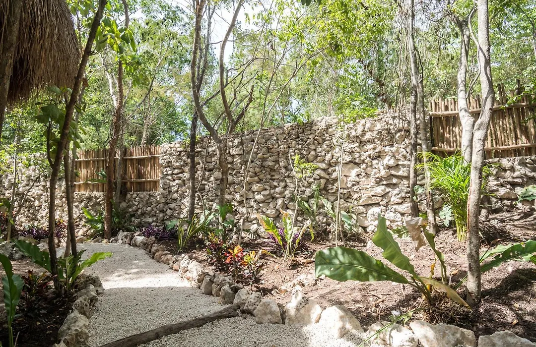 Pepem Holistic Experience - Peaceful Retreat Near Tulum (Adults Only)-1