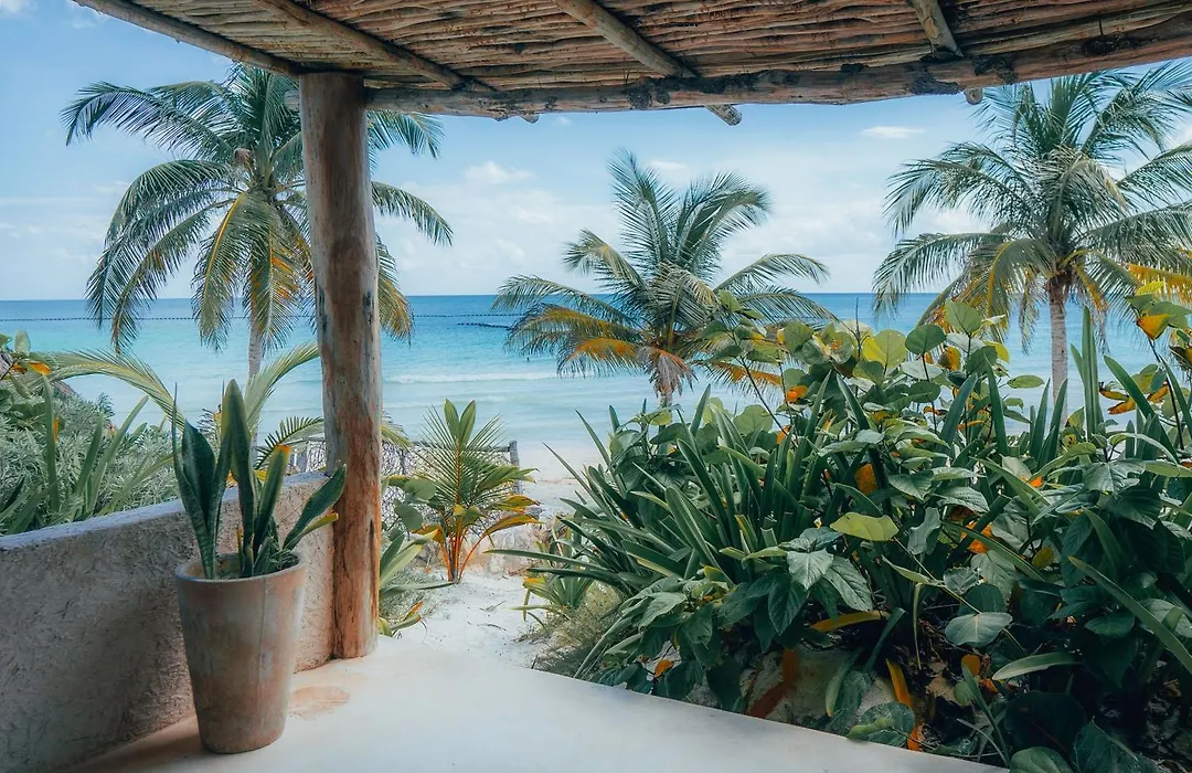 Hotel Pocna Tulum-1