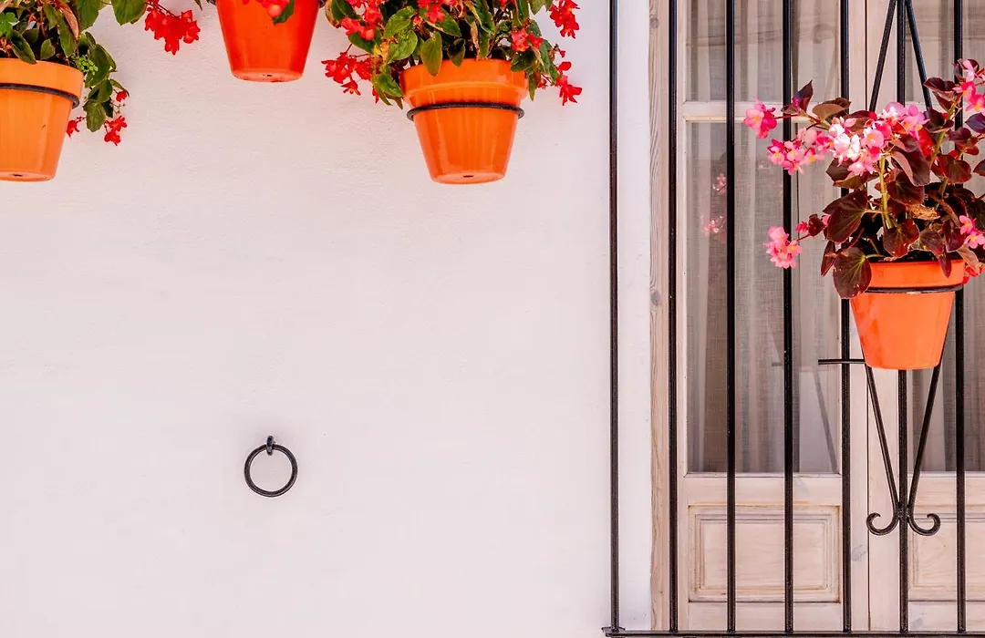 Casa Del Patio - Boutique Apartments (Adults Only)-1