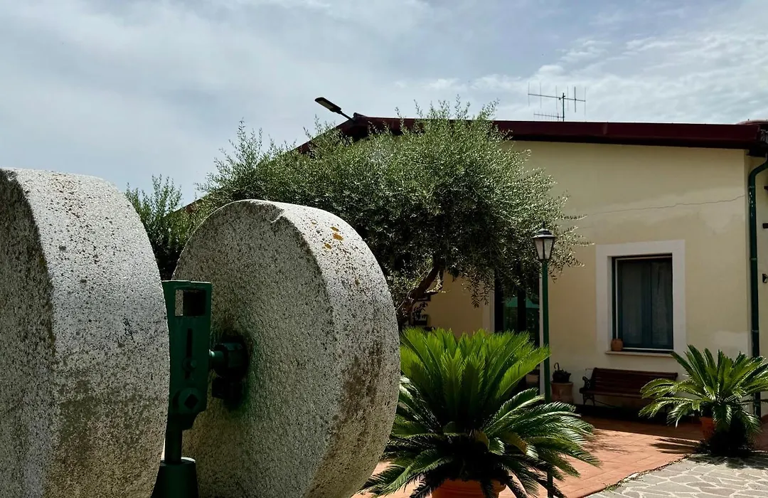 Agriturismo Le Macine-1