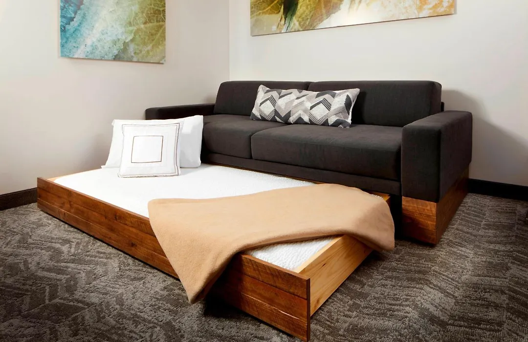 Springhill Suites By Marriott Pittsburgh Bakery Square-1