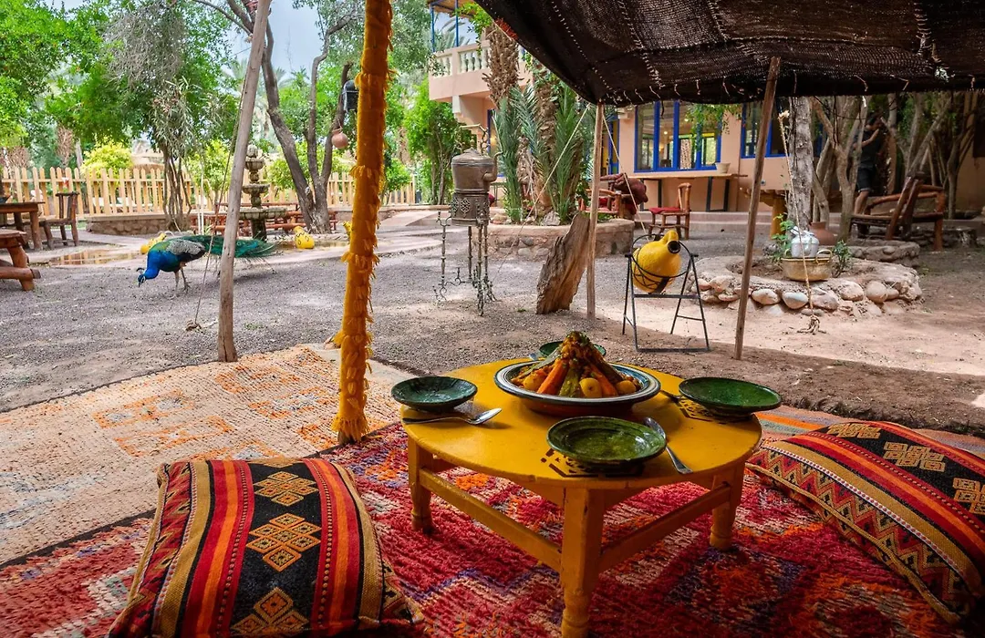 Ecolodge La Palmeraie-1
