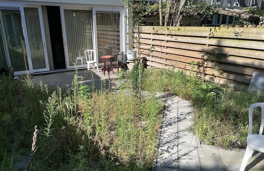 Garden House In Amsterdam-1