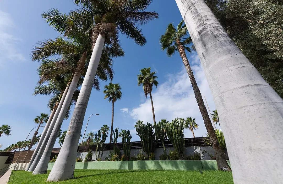 Eo Maspalomas Resort-1