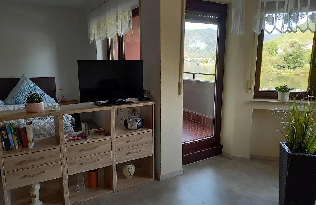 Appartement Moselblick-1