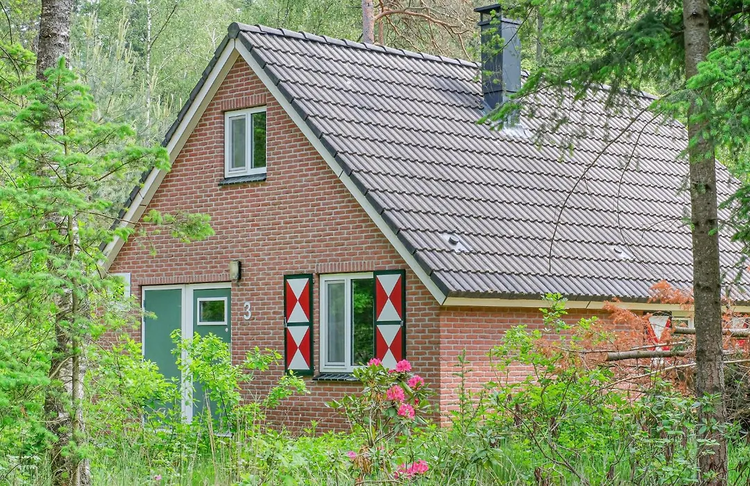Houtduif-1