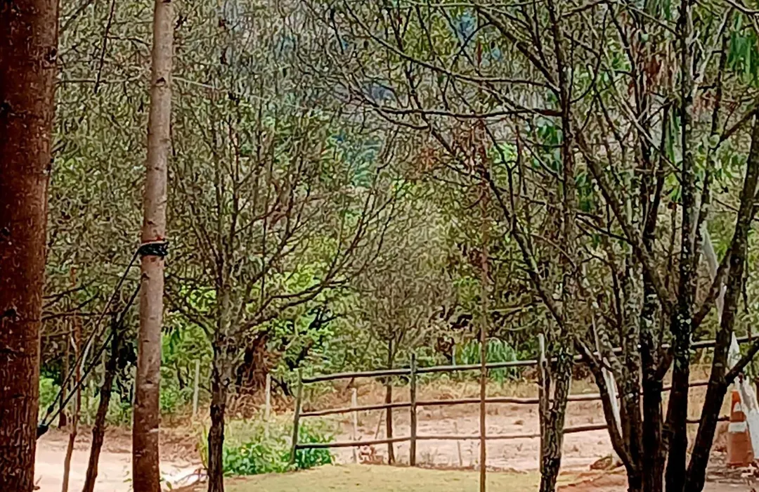 Camping Avohai-1