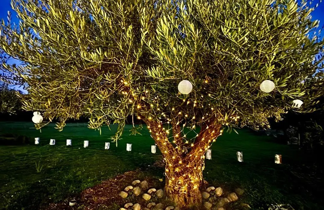 Quinta Vale Da Prata-1