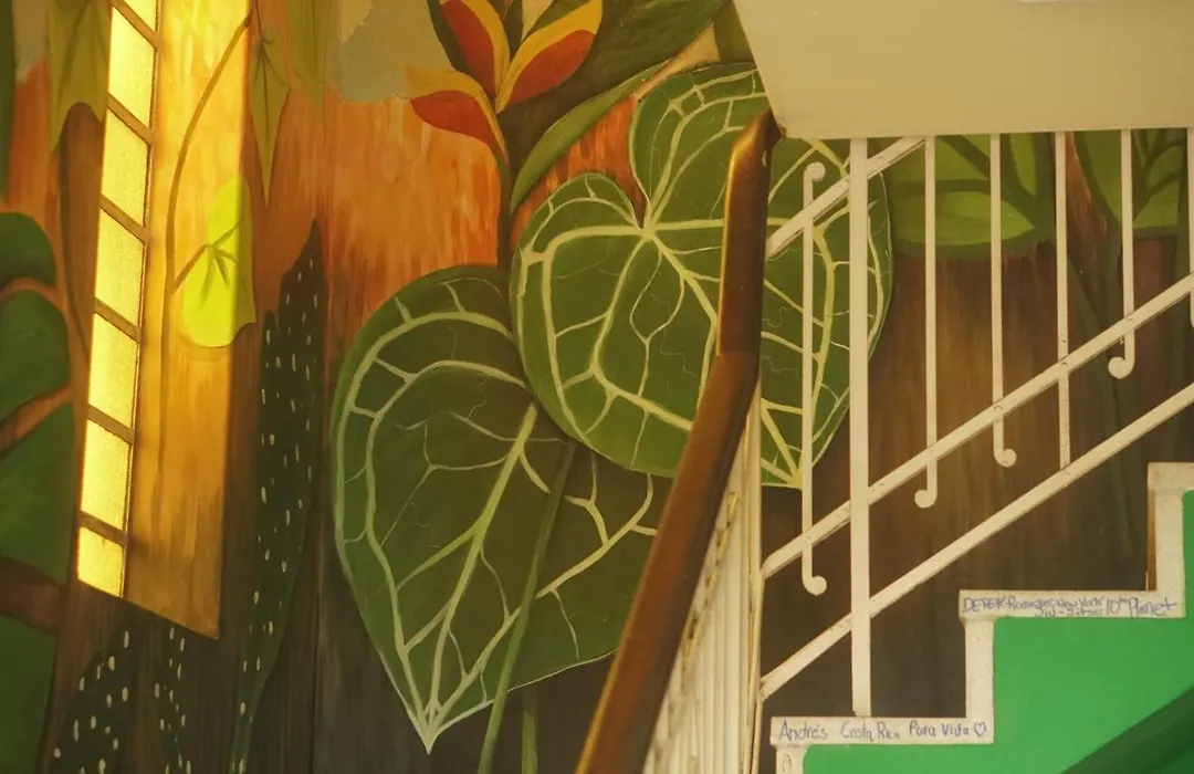 POA Eco Hostel-1