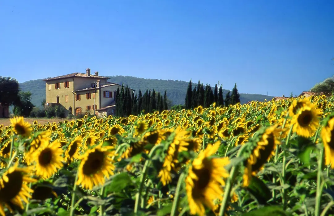 Agriturismo Palazzo Bandino in Val di Chiana, Val dorcia-1