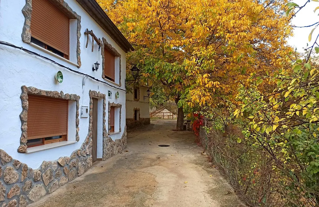 Cortijo Ramon Petra-1