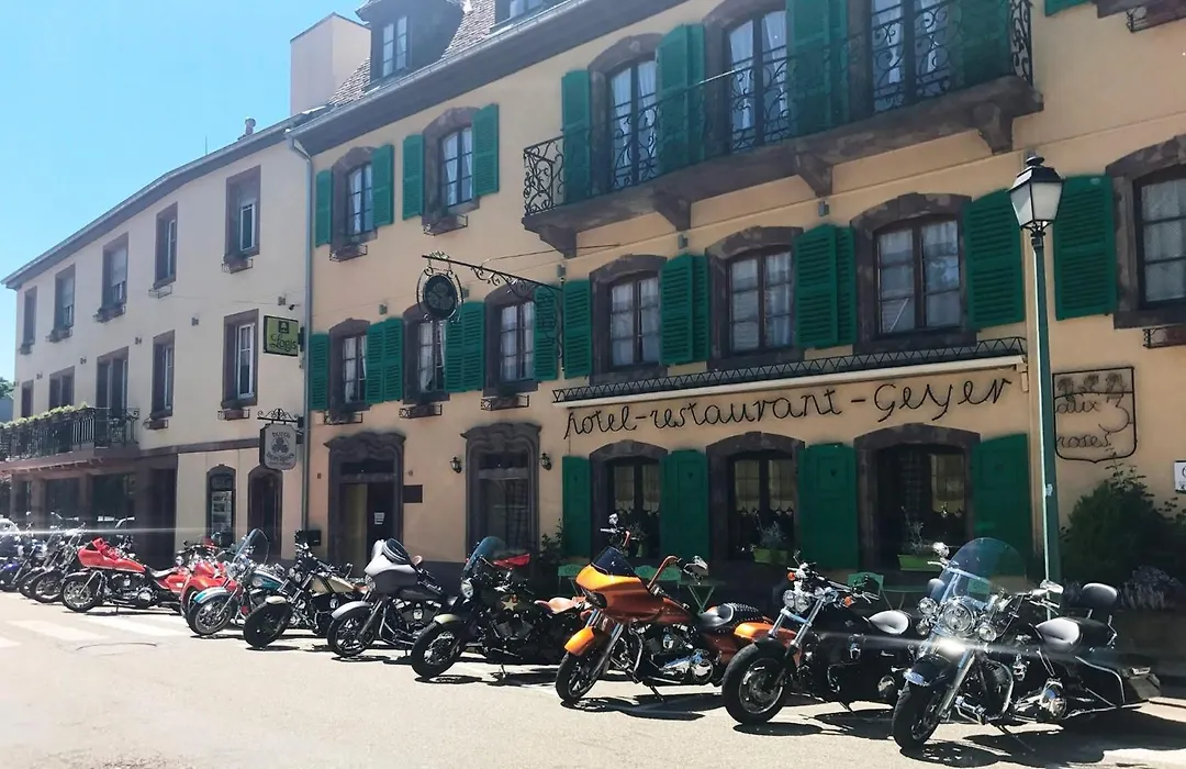 Logis Hotel-Restaurant Aux Trois Roses-1