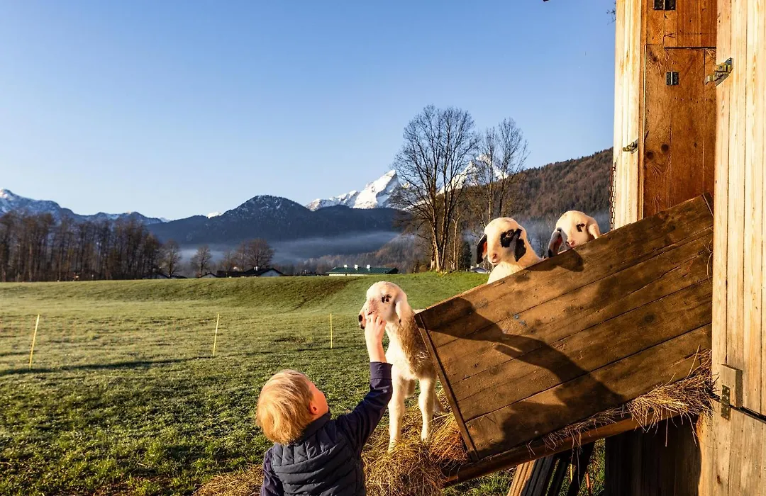 Wassererlehen-1