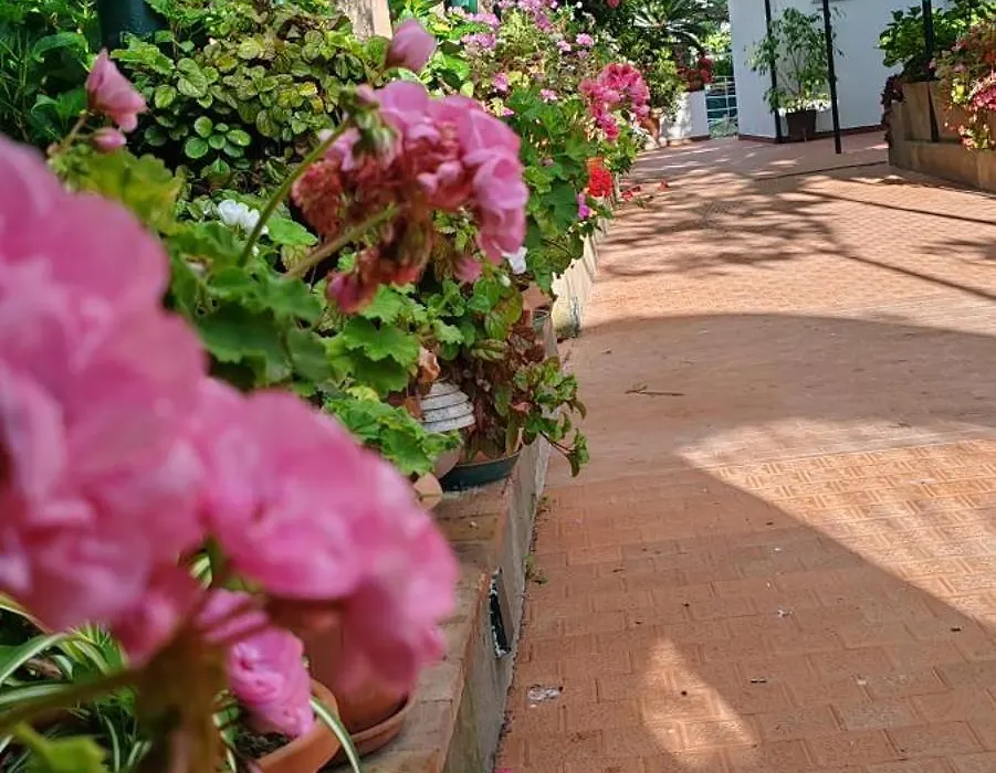 Villa dei fiori B&B-1