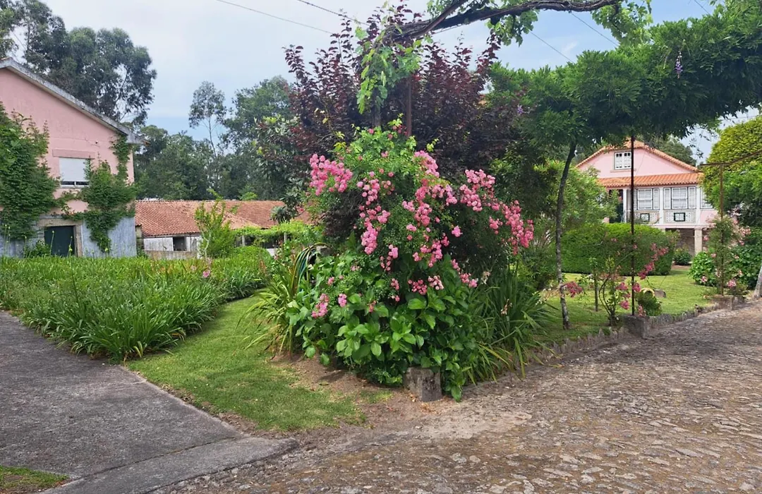 Quinta Do Vale Do Monte-1