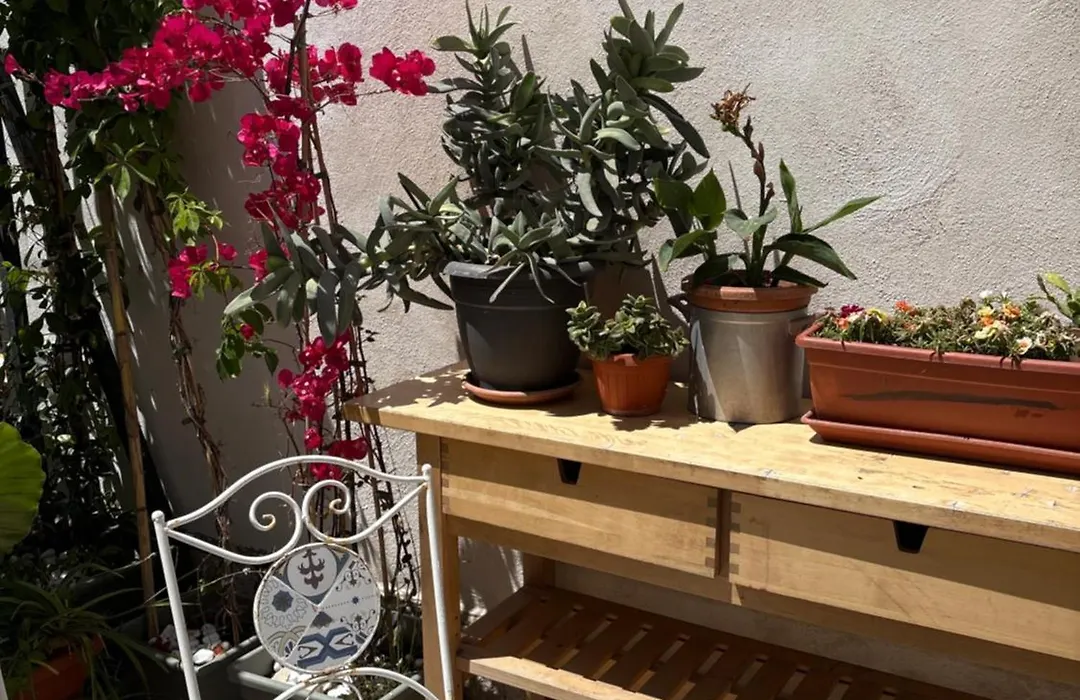 Il Giardino dei Limoni-1