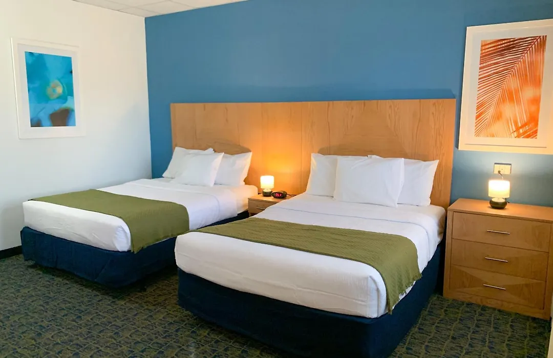Ficus Hotel-1