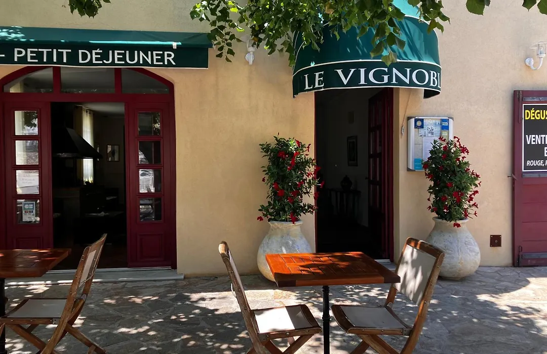 Hotel Du Vignoble-1