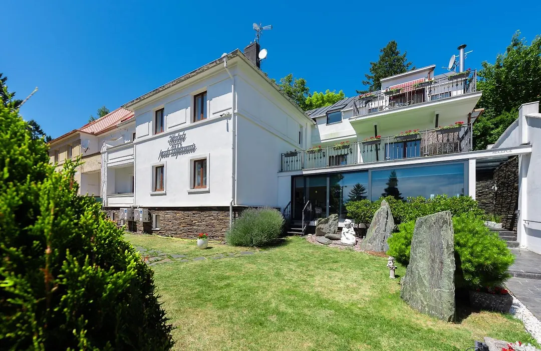 Wellness & Spa Boutique Hotel Pod Lipkami Prague-1