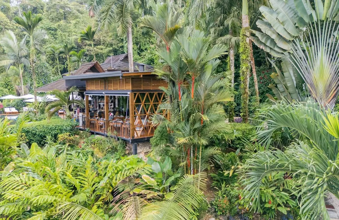 Oxygen Jungle Villas & Spa (Adults Only)-1