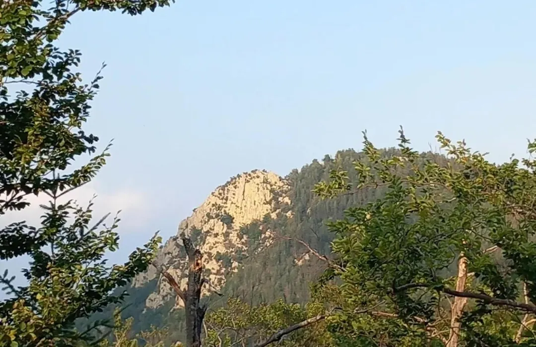 Mas Vilar Rural-1