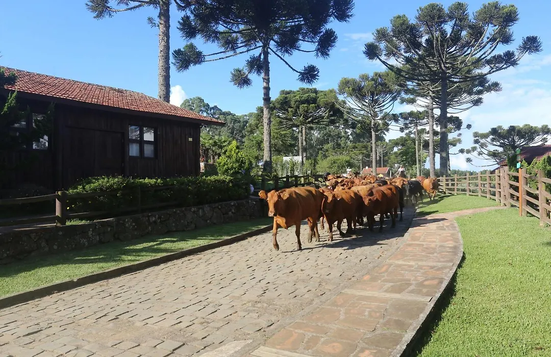 Boqueirão Hotel Fazenda-1