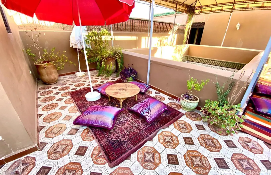 Riad Jibril-1