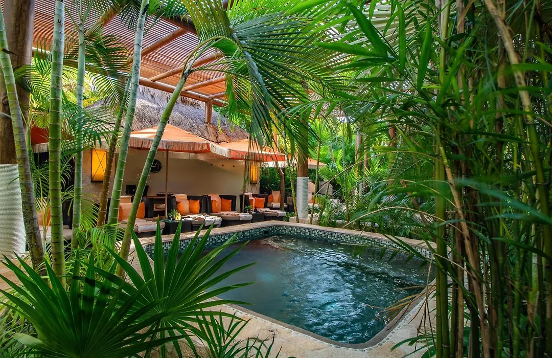 Villa Del Palmar Cancun Luxury Beach Resort & Spa-1
