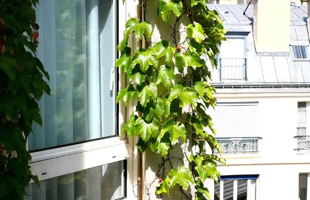 Hotel Fertel Etoile-1
