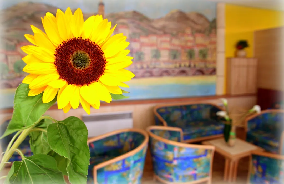 Hotel Menton Riviera-1