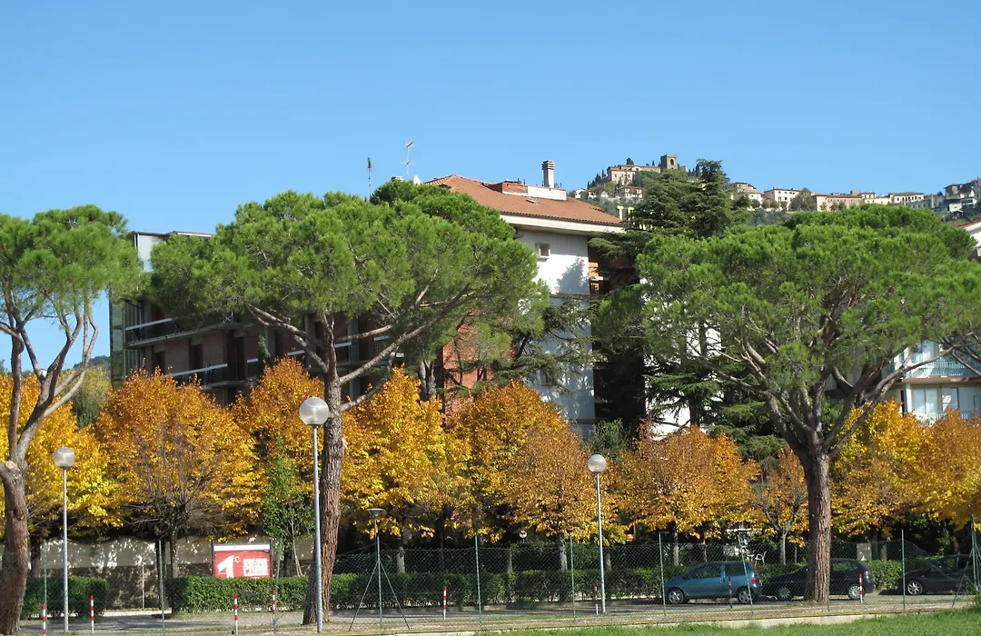 Hotel Torretta-1