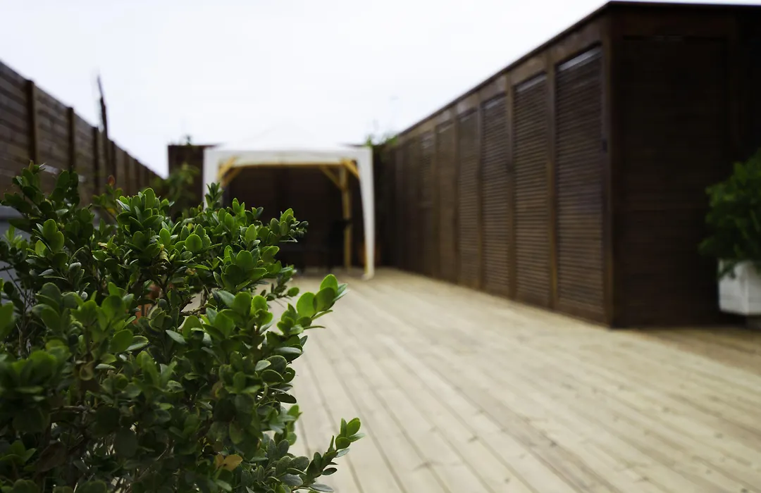 Lydia-1