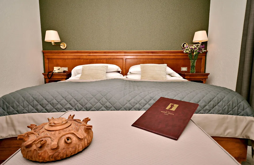 Hotel Diana Jardin Et Spa-1