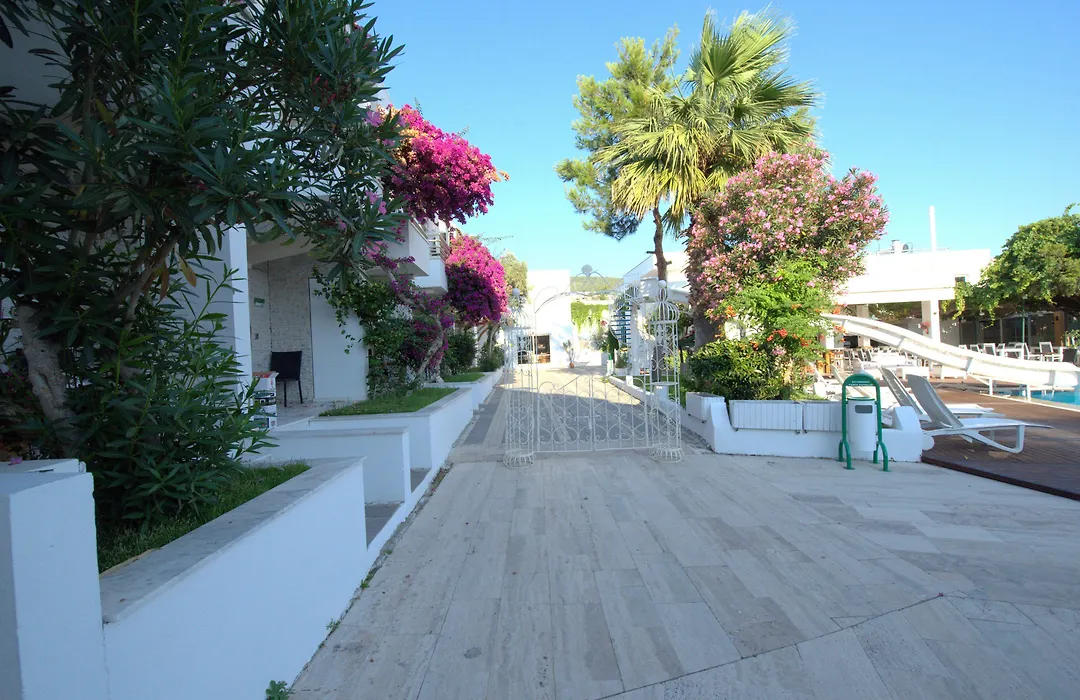Delfi Hotel Spa & Wellness Center-1