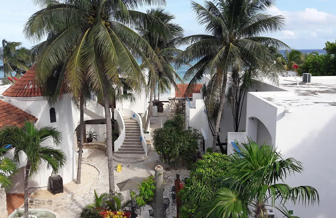 Pelicano Inn Playa Del Carmen - Beachfront Hotel-1