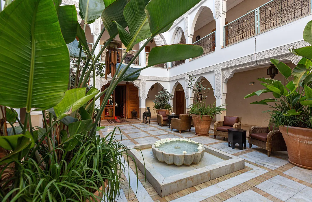 Le Riad Villa Blanche-1