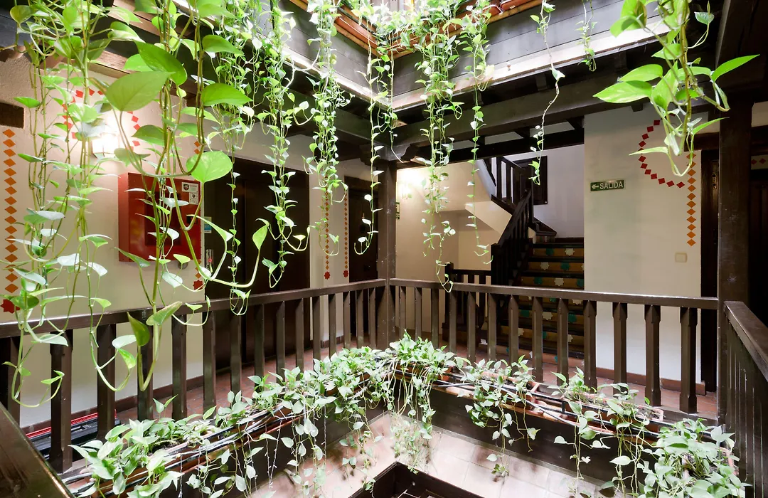 Oasis Backpackers' Hostel Granada-1
