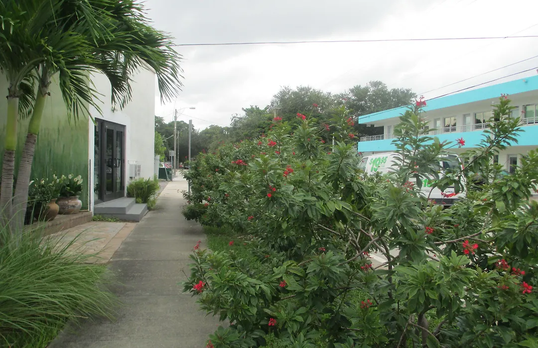 Shalimar Motel-1